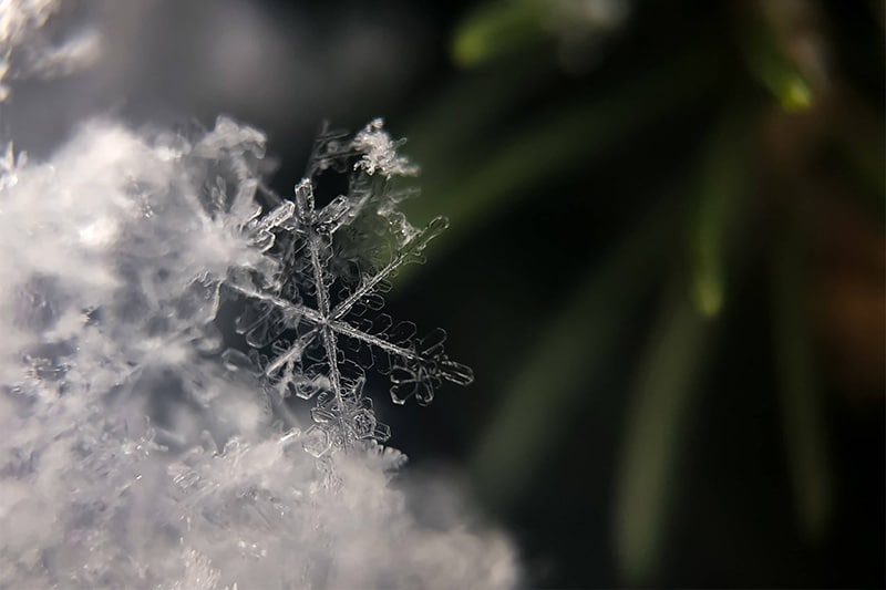 close up photo of snow flake